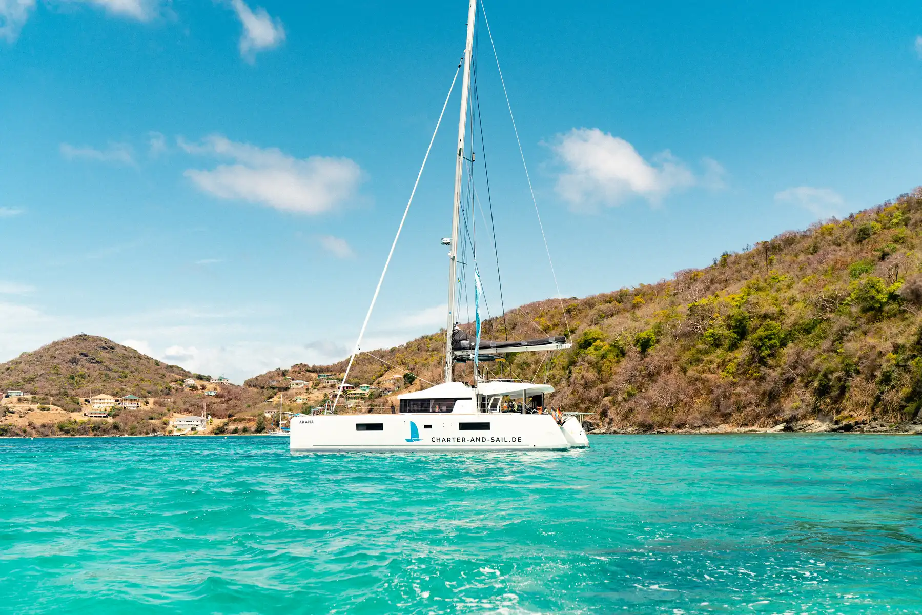 Schwimmen mit Schildkröten in den Tobago Cays