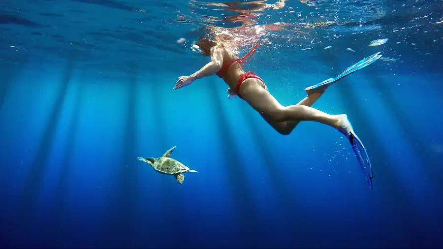 Dream 60 - Maldives (46)