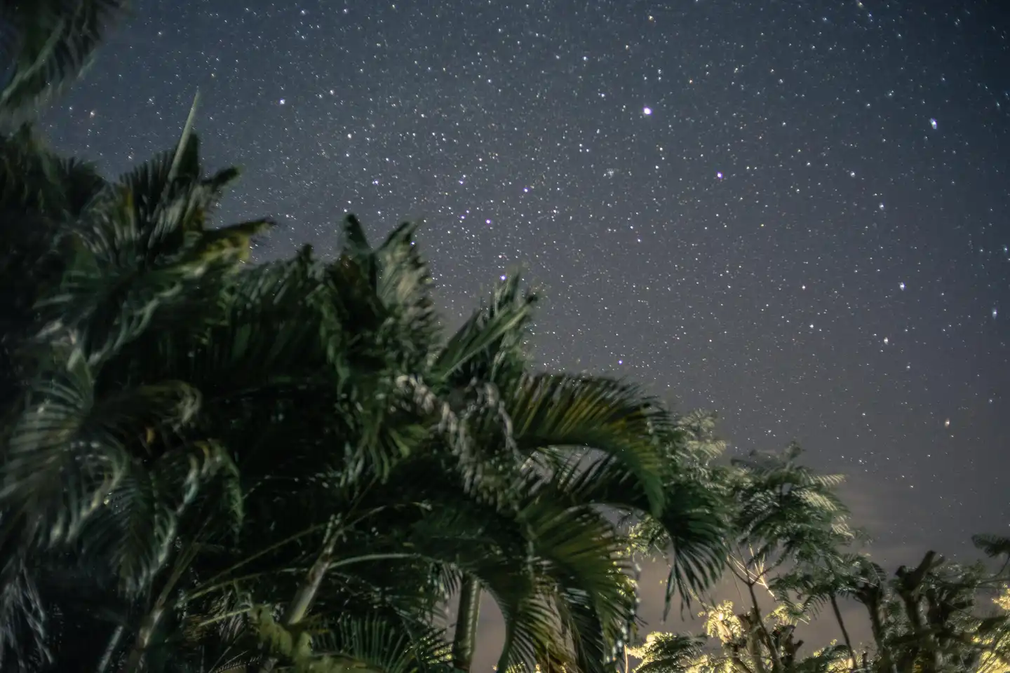 Eine gute Kitesession auf Guadeloupe