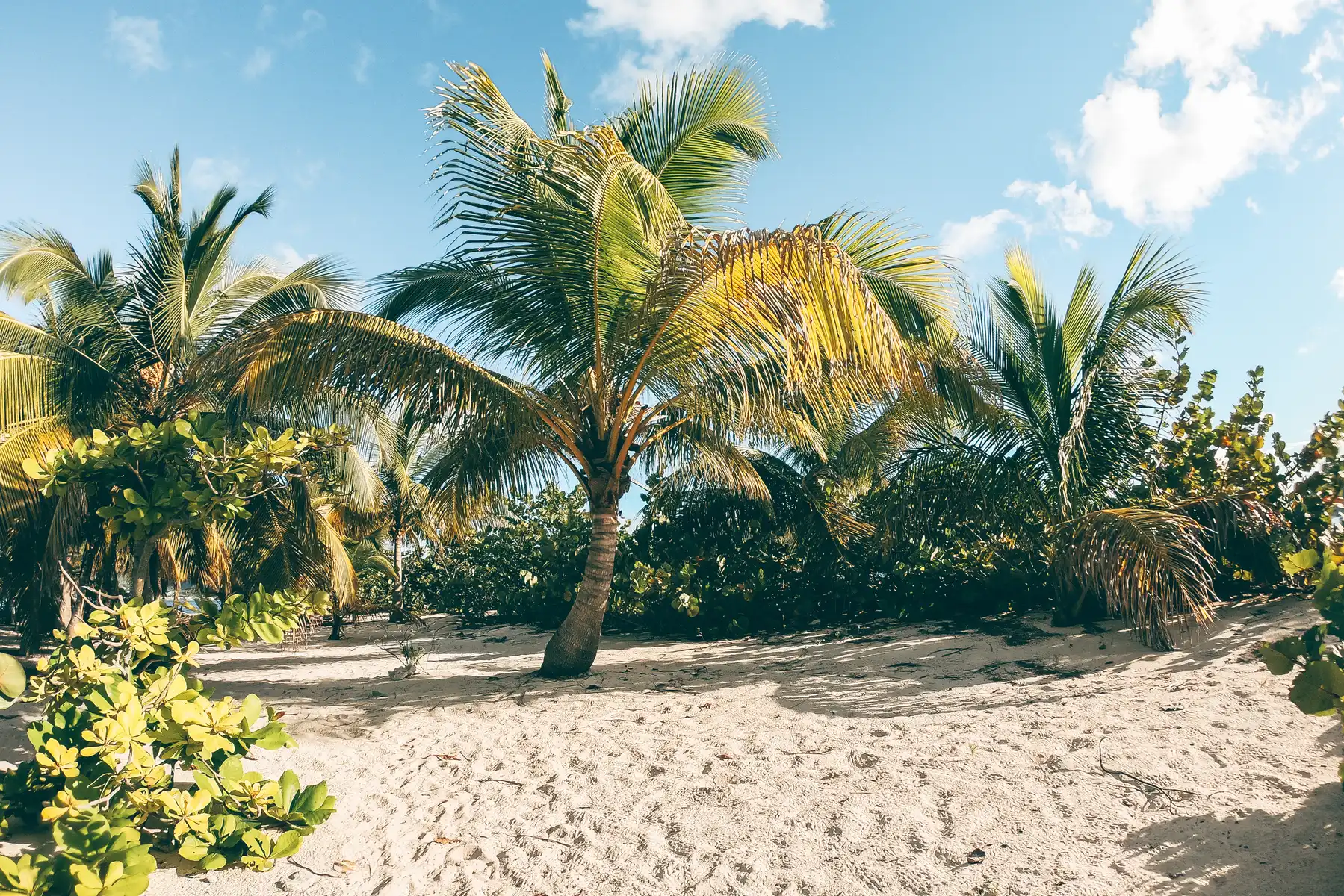 Kleine, einsame Sandinsel mit Palmen