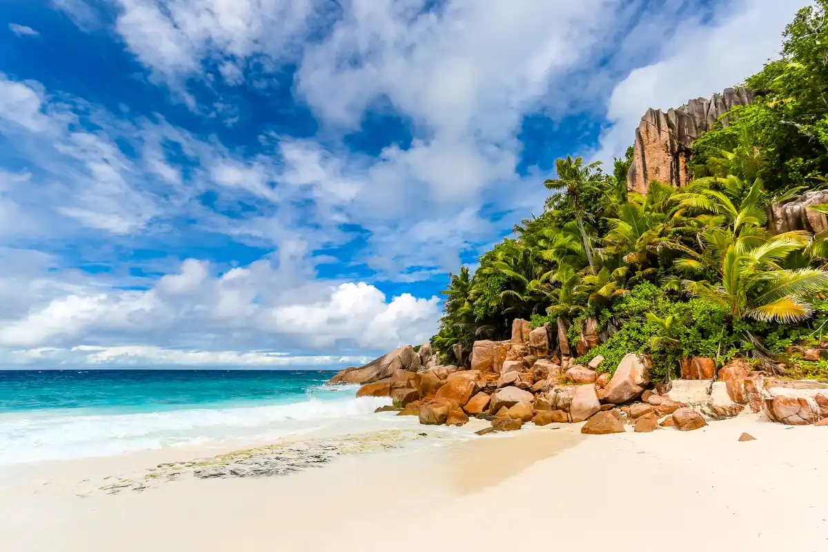 Mojito 82 - Seychelles (10).jpg