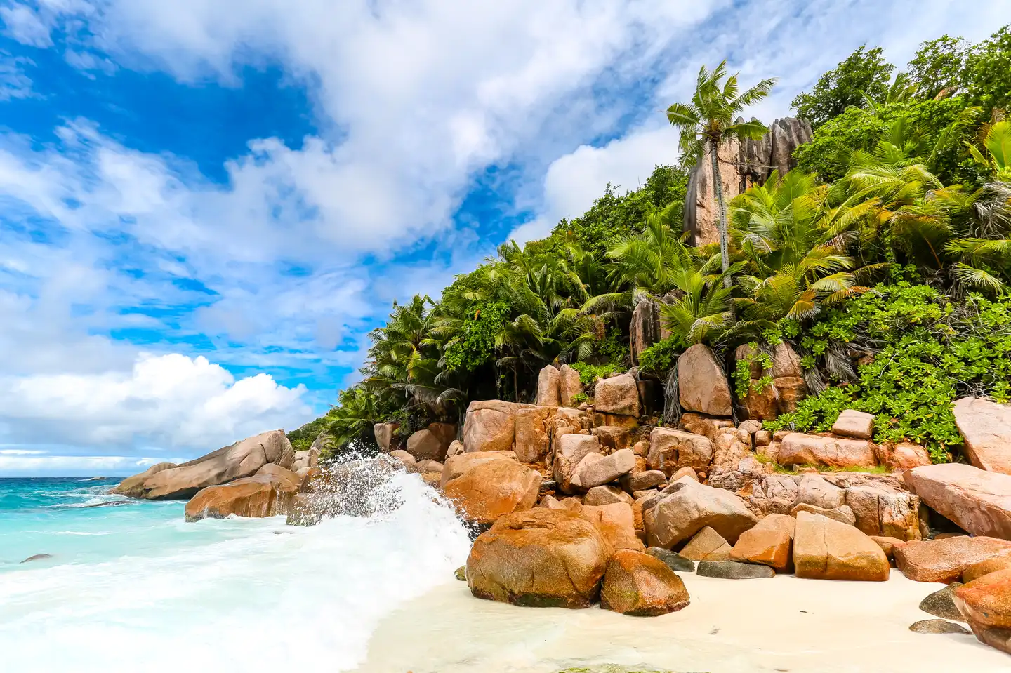 Mojito 82 - Seychelles (14).jpg