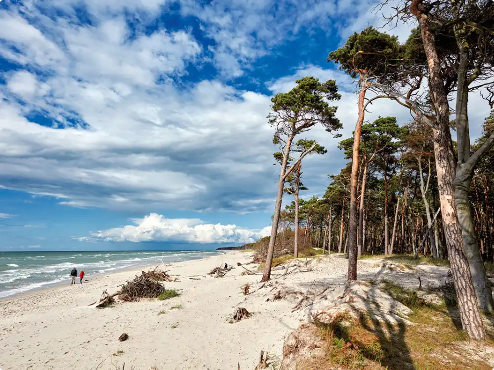 fischland-darss-zingst-strand
