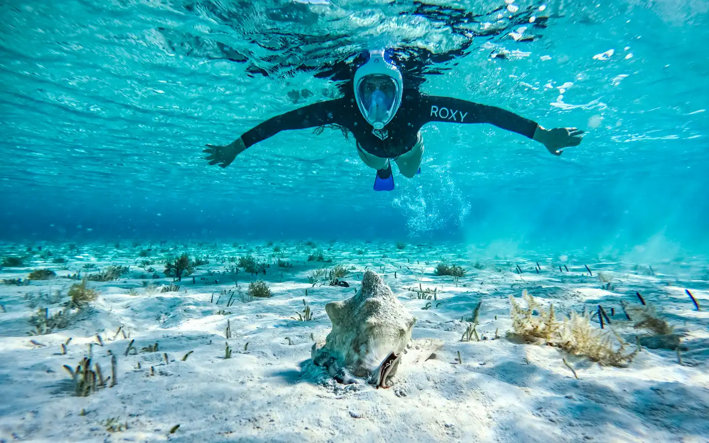 Tauchen & Schnorcheln auf den Bahamas