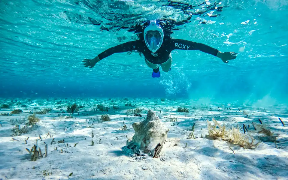 Tauchen & Schnorcheln auf den Bahamas