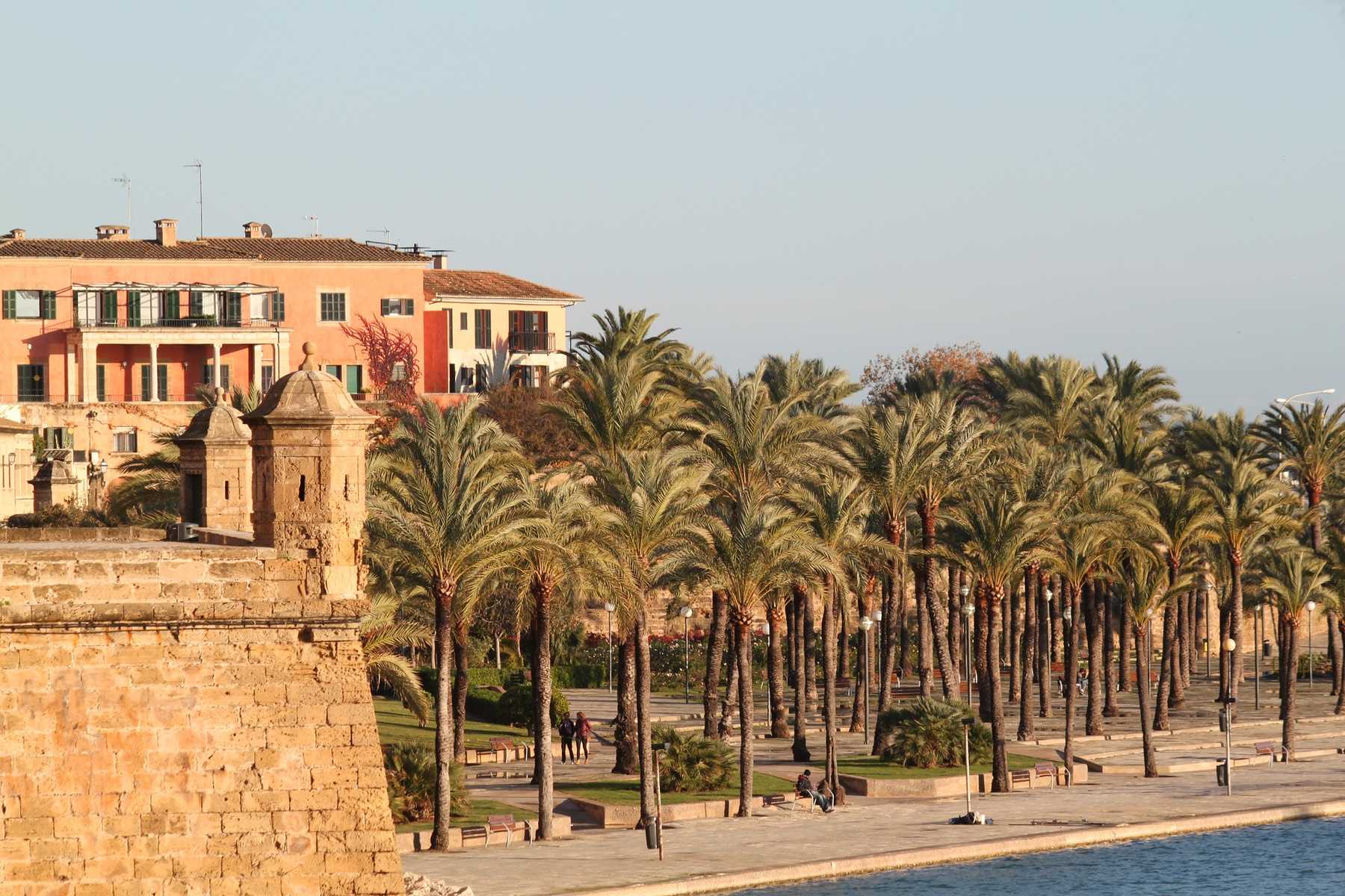 palma-de-mallorca-g183c98206_1920.jpg