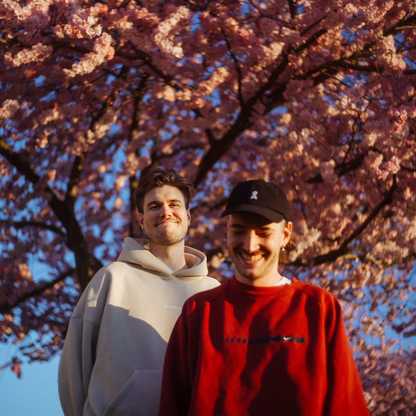 Pressefoto1-Raum 27.jpg